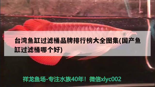 臺(tái)灣魚缸過(guò)濾桶品牌排行榜大全圖集(國(guó)產(chǎn)魚缸過(guò)濾桶哪個(gè)好) 水族世界 第1張