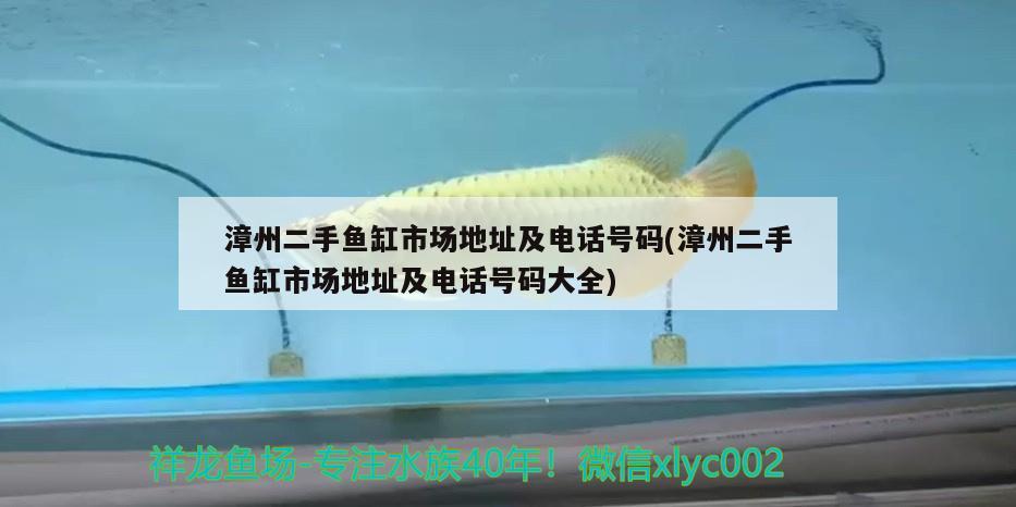 漳州二手魚缸市場地址及電話號碼(漳州二手魚缸市場地址及電話號碼大全) 申古三間魚