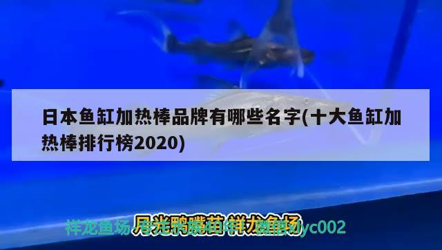 日本魚缸加熱棒品牌有哪些名字(十大魚缸加熱棒排行榜2020) 觀賞魚百科