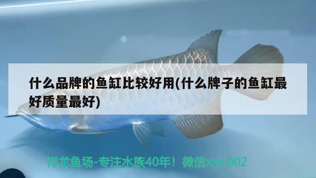 什么品牌的魚(yú)缸比較好用(什么牌子的魚(yú)缸最好質(zhì)量最好)