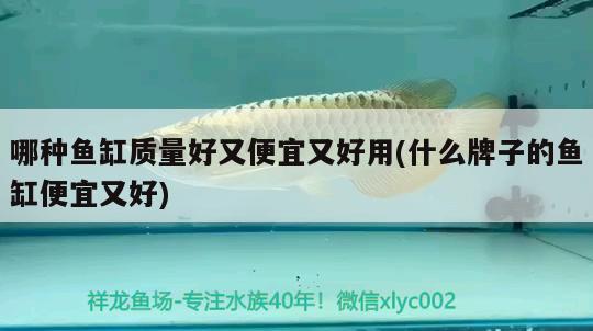 哪種魚缸質(zhì)量好又便宜又好用(什么牌子的魚缸便宜又好)