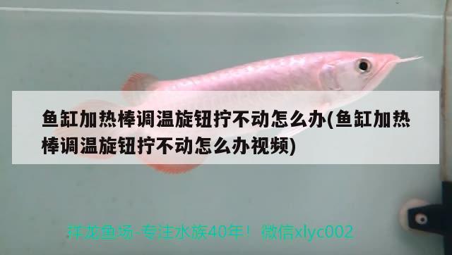 魚(yú)缸加熱棒調(diào)溫旋鈕擰不動(dòng)怎么辦(魚(yú)缸加熱棒調(diào)溫旋鈕擰不動(dòng)怎么辦視頻)