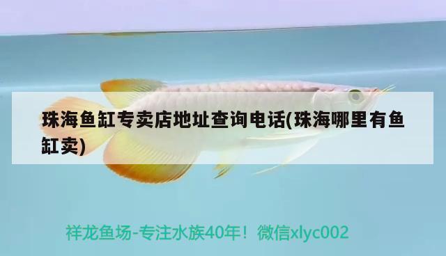 珠海魚缸專賣店地址查詢電話(珠海哪里有魚缸賣) 紅尾平克魚