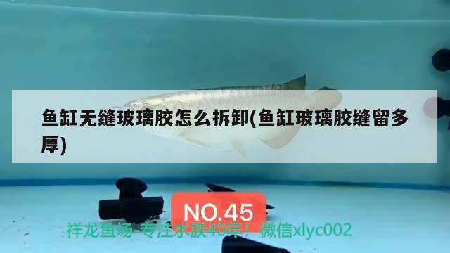 魚缸無縫玻璃膠怎么拆卸(魚缸玻璃膠縫留多厚) 森森魚缸