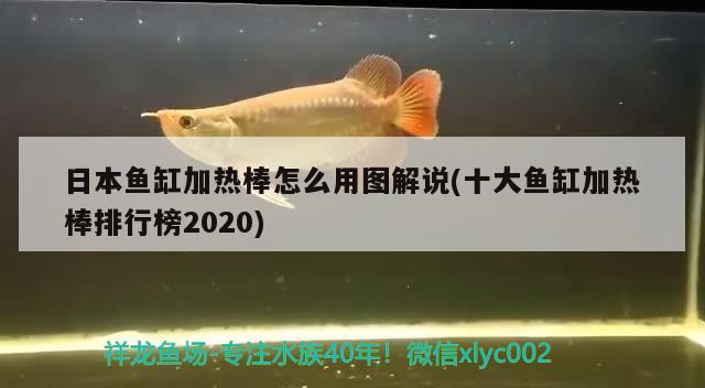 日本魚(yú)缸加熱棒怎么用圖解說(shuō)(十大魚(yú)缸加熱棒排行榜2020) 龍魚(yú)芯片掃碼器