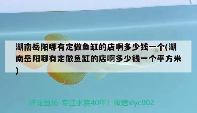 湖南岳陽哪有定做魚缸的店啊多少錢一個(湖南岳陽哪有定做魚缸的店啊多少錢一個平方米) 玫瑰銀版魚 第2張