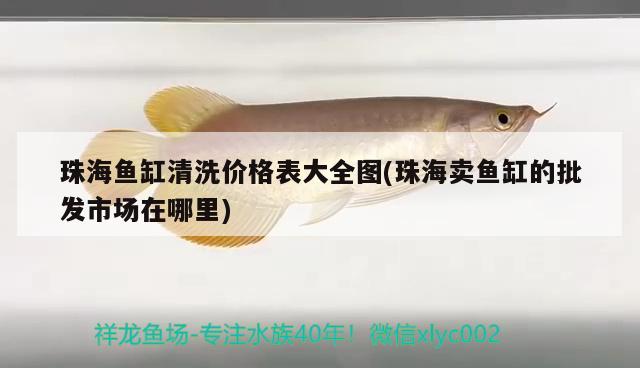 珠海魚缸清洗價(jià)格表大全圖(珠海賣魚缸的批發(fā)市場(chǎng)在哪里)