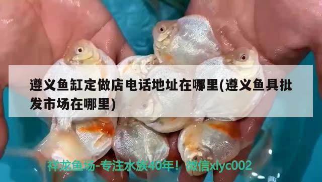 遵義魚缸定做店電話地址在哪里(遵義魚具批發(fā)市場在哪里) 檸檬鯽