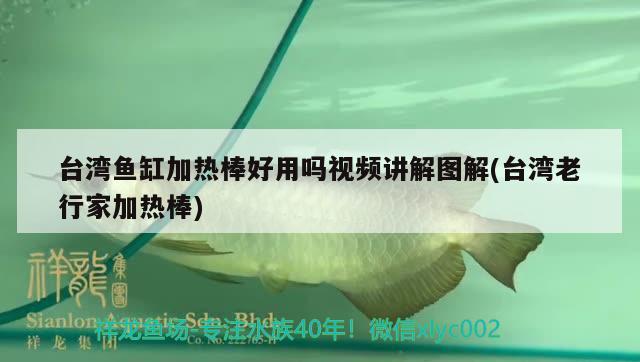 臺灣魚缸加熱棒好用嗎視頻講解圖解(臺灣老行家加熱棒)