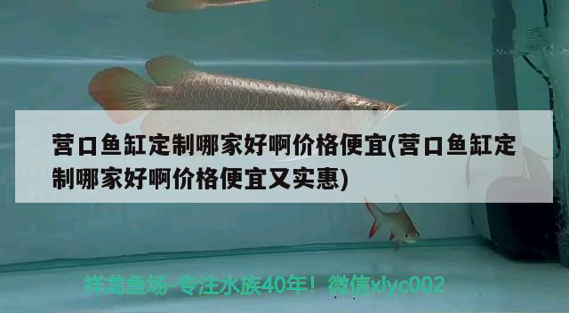 營口魚缸定制哪家好啊價格便宜(營口魚缸定制哪家好啊價格便宜又實惠) 祥龍藍珀金龍魚