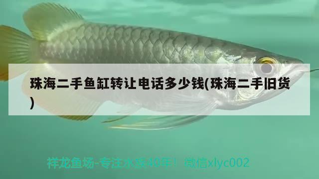 珠海二手魚缸轉(zhuǎn)讓電話多少錢(珠海二手舊貨)