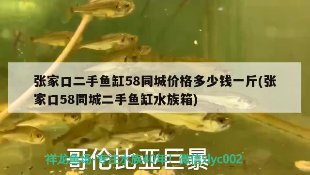 張家口二手魚缸58同城價格多少錢一斤(張家口58同城二手魚缸水族箱) 魚缸/水族箱