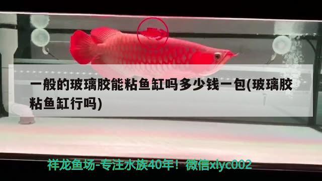 一般的玻璃膠能粘魚缸嗎多少錢一包(玻璃膠粘魚缸行嗎) 小型觀賞魚