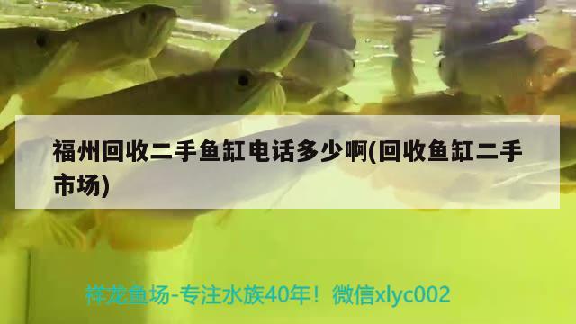 福州回收二手魚缸電話多少啊(回收魚缸二手市場)