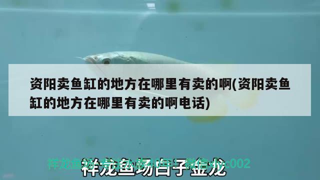 資陽賣魚缸的地方在哪里有賣的啊(資陽賣魚缸的地方在哪里有賣的啊電話)