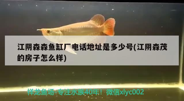 江陰森森魚(yú)缸廠電話地址是多少號(hào)(江陰森茂的房子怎么樣)