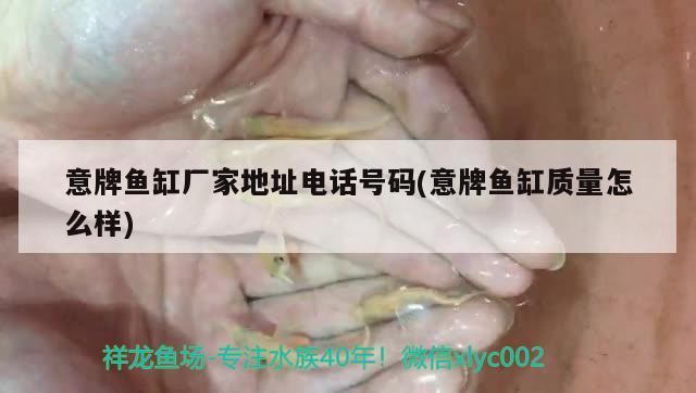 意牌魚缸廠家地址電話號(hào)碼(意牌魚缸質(zhì)量怎么樣)