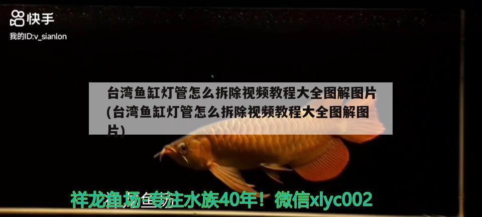 臺(tái)灣魚(yú)缸燈管怎么拆除視頻教程大全圖解圖片(臺(tái)灣魚(yú)缸燈管怎么拆除視頻教程大全圖解圖片)