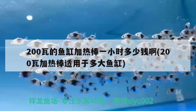 200瓦的魚缸加熱棒一小時多少錢啊(200瓦加熱棒適用于多大魚缸) 祥龍超血紅龍魚