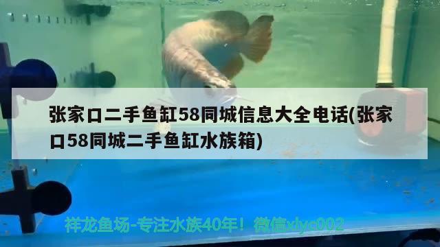 張家口二手魚缸58同城信息大全電話(張家口58同城二手魚缸水族箱)