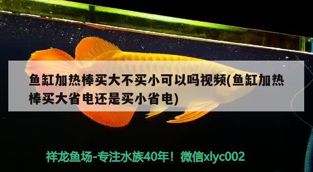 魚缸加熱棒買大不買小可以嗎視頻(魚缸加熱棒買大省電還是買小省電)