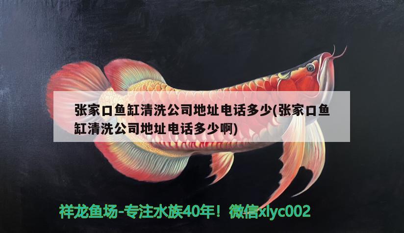 張家口魚缸清洗公司地址電話多少(張家口魚缸清洗公司地址電話多少啊)