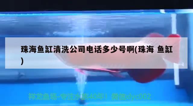 珠海魚缸清洗公司電話多少號(hào)啊(珠海魚缸)