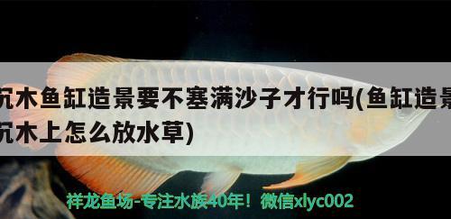 沉木魚缸造景要不塞滿沙子才行嗎(魚缸造景沉木上怎么放水草)