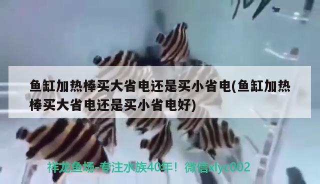 魚缸加熱棒買大省電還是買小省電(魚缸加熱棒買大省電還是買小省電好)