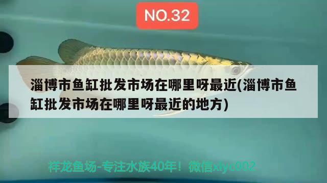 淄博市魚缸批發(fā)市場在哪里呀最近(淄博市魚缸批發(fā)市場在哪里呀最近的地方)