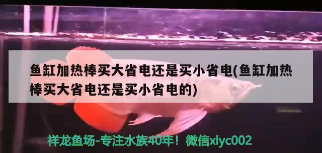 魚缸加熱棒買大省電還是買小省電(魚缸加熱棒買大省電還是買小省電的)