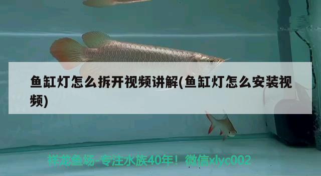 魚缸燈怎么拆開視頻講解(魚缸燈怎么安裝視頻) 充氧泵