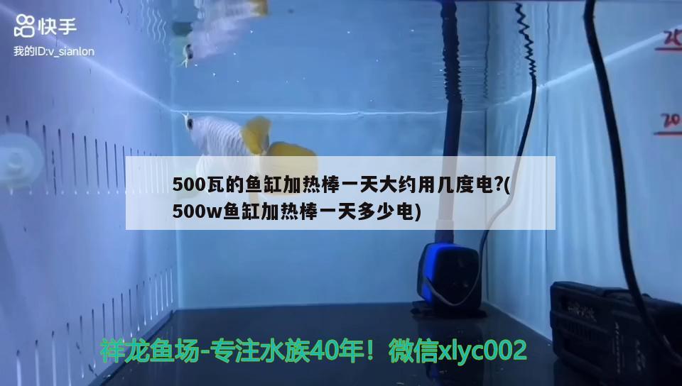 500瓦的魚缸加熱棒一天大約用幾度電?(500w魚缸加熱棒一天多少電)