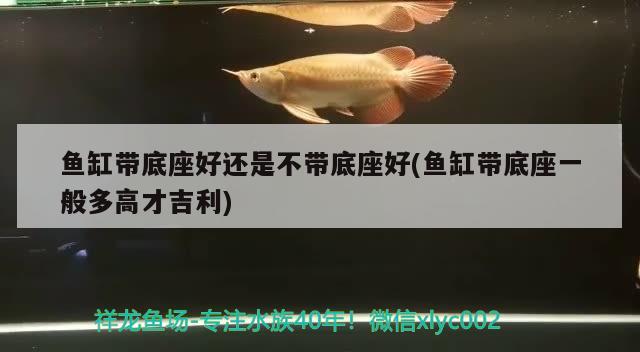 魚缸帶底座好還是不帶底座好(魚缸帶底座一般多高才吉利) 大正錦鯉魚