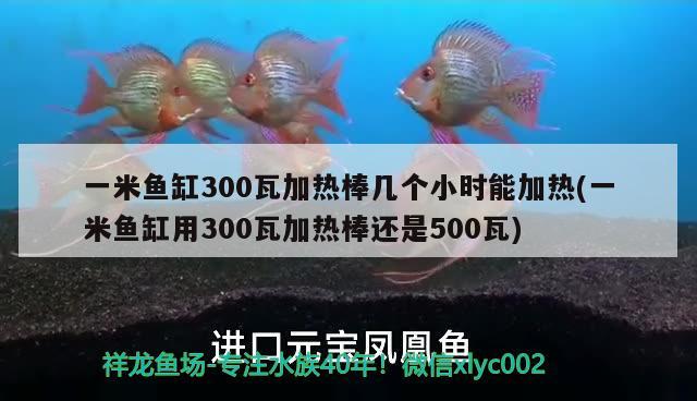 一米魚缸300瓦加熱棒幾個(gè)小時(shí)能加熱(一米魚缸用300瓦加熱棒還是500瓦)