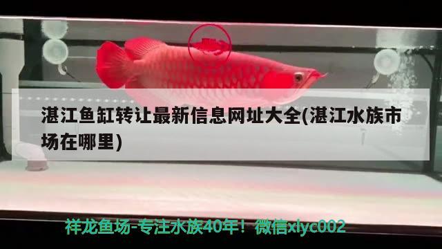 湛江魚(yú)缸轉(zhuǎn)讓最新信息網(wǎng)址大全(湛江水族市場(chǎng)在哪里) 魚(yú)糧魚(yú)藥