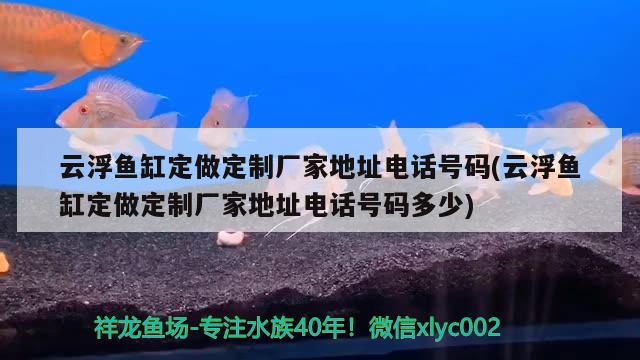 云浮魚(yú)缸定做定制廠家地址電話(huà)號(hào)碼(云浮魚(yú)缸定做定制廠家地址電話(huà)號(hào)碼多少)