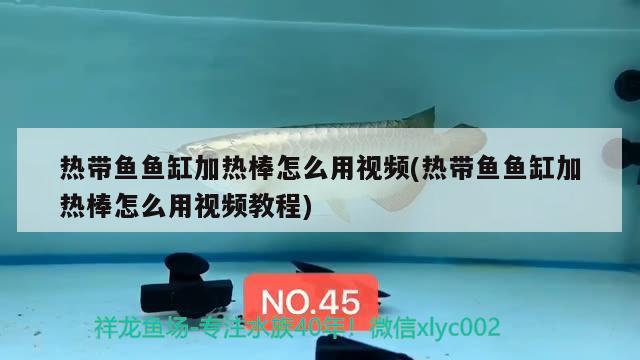 熱帶魚(yú)魚(yú)缸加熱棒怎么用視頻(熱帶魚(yú)魚(yú)缸加熱棒怎么用視頻教程)