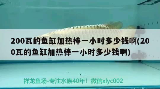 200瓦的魚缸加熱棒一小時(shí)多少錢啊(200瓦的魚缸加熱棒一小時(shí)多少錢啊) 觀賞魚