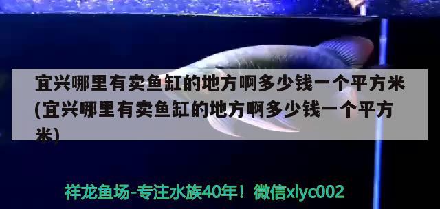 宜興哪里有賣魚(yú)缸的地方啊多少錢一個(gè)平方米(宜興哪里有賣魚(yú)缸的地方啊多少錢一個(gè)平方米) 南美異型魚(yú)