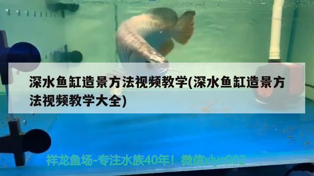 深水魚缸造景方法視頻教學(深水魚缸造景方法視頻教學大全)