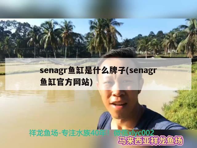 senagr魚缸是什么牌子(senagr魚缸官方網(wǎng)站)