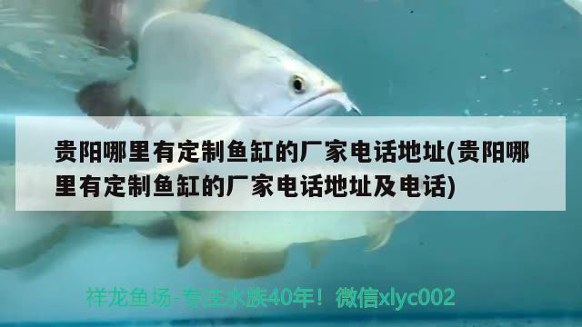 貴陽(yáng)哪里有定制魚缸的廠家電話地址(貴陽(yáng)哪里有定制魚缸的廠家電話地址及電話) 藍(lán)帆三間魚