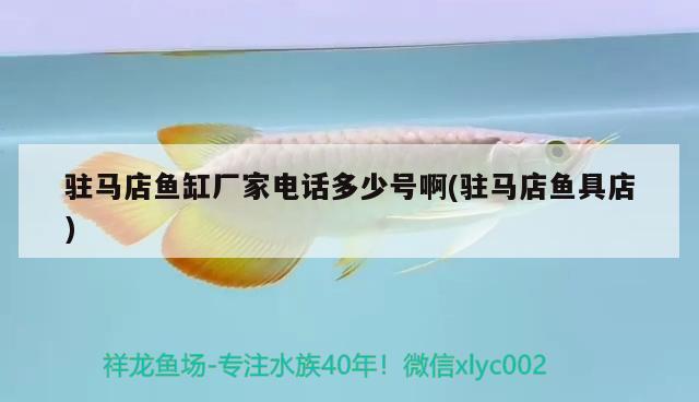 駐馬店魚(yú)缸廠家電話多少號(hào)啊(駐馬店魚(yú)具店)