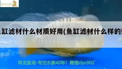 魚(yú)缸濾材什么材質(zhì)好用(魚(yú)缸濾材什么樣的好)