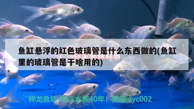 魚(yú)缸懸浮的紅色玻璃管是什么東西做的(魚(yú)缸里的玻璃管是干啥用的)