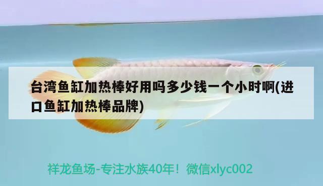 臺灣魚缸加熱棒好用嗎多少錢一個小時啊(進(jìn)口魚缸加熱棒品牌)