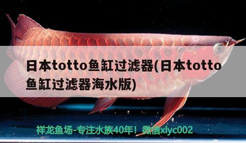 日本totto魚(yú)缸過(guò)濾器(日本totto魚(yú)缸過(guò)濾器海水版) 喂食器