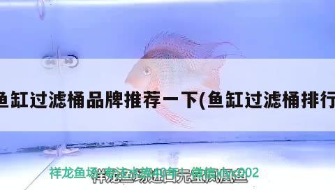 魚缸過濾桶品牌推薦一下(魚缸過濾桶排行)