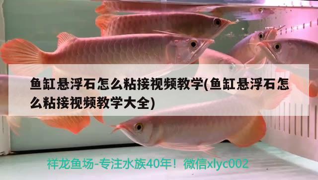 魚缸懸浮石怎么粘接視頻教學(魚缸懸浮石怎么粘接視頻教學大全) 二氧化碳設(shè)備